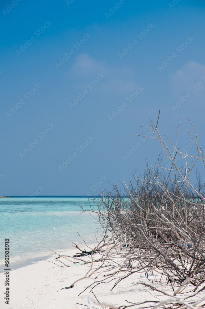 Canvas Prints beautiful topical white sand beach