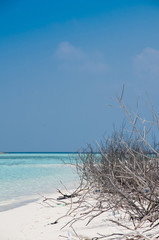 Beautiful topical white sand beach