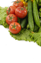 Green cucumber with red tomato on green lettuce
