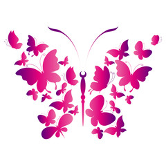 butterfly,butterflies