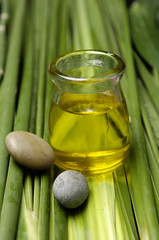 bottles of essential oil and stones on green bamboo grove background
