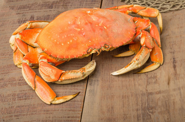 Dungeness crab ready to cook