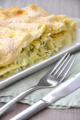 Zucchini Lasagne