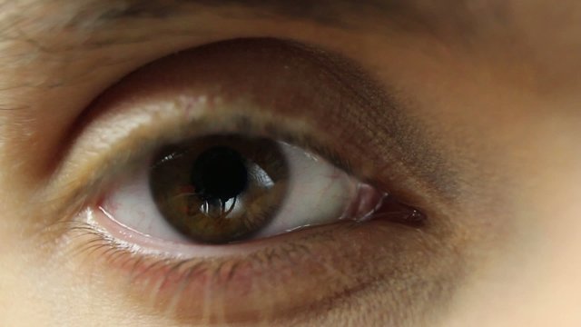 Zoom In To Wide Open Eye