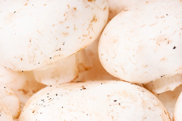 White champignons