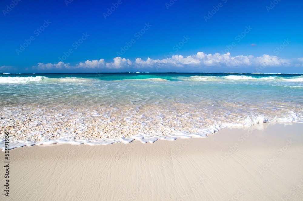 Canvas Prints tropical sea