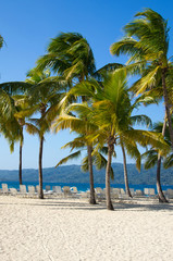Naklejka premium Beach chairs under palm
