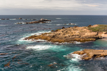 Point Lobos State Natural Reserve