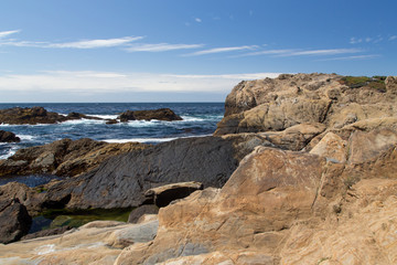 Point Lobos State Natural Reserve