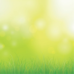 Plakat Green grass