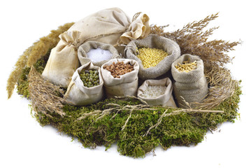 Bags on moss with herbs