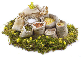 Bags on moss with flowers