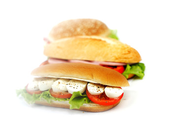 Sandwich with mozzarella tomato and salad