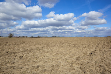 Fototapeta na wymiar springtime plow soil
