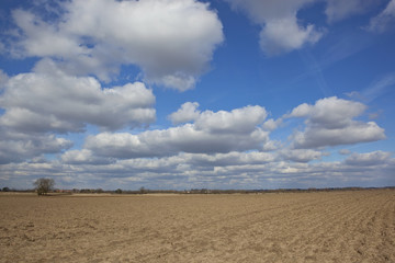 Fototapeta na wymiar big sky over plow soil