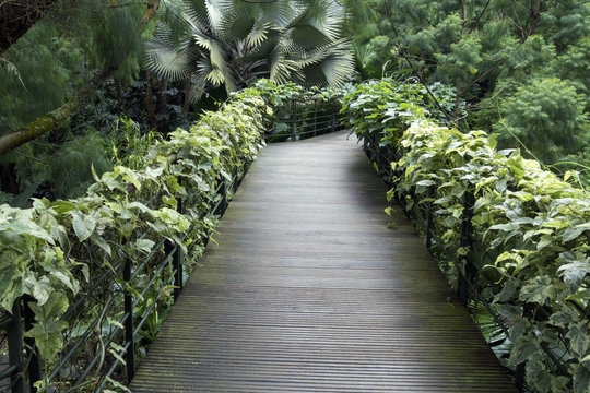 tropical park