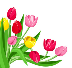 Colored tulips. Vector illustration.