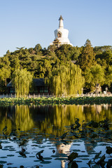 White pagoda in Beihai park, Beijing