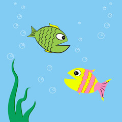 two fish in the water