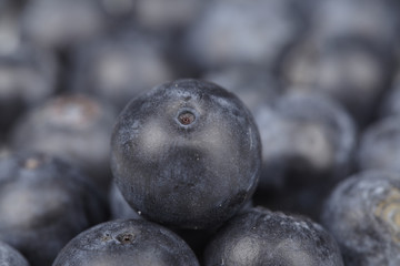 Heidelbeeren - Nahaufnahme