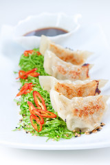 Ravioli dumplings and cabbage salad with sauce of wine.