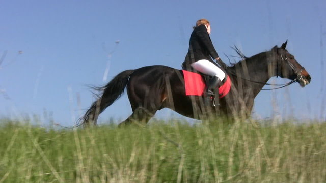 Horse with horsewoman hoof beats