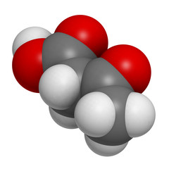 Ketone body (acetoacetic acid), molecular model