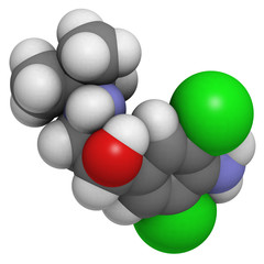 Clenbuterol asthma drug, molecular model