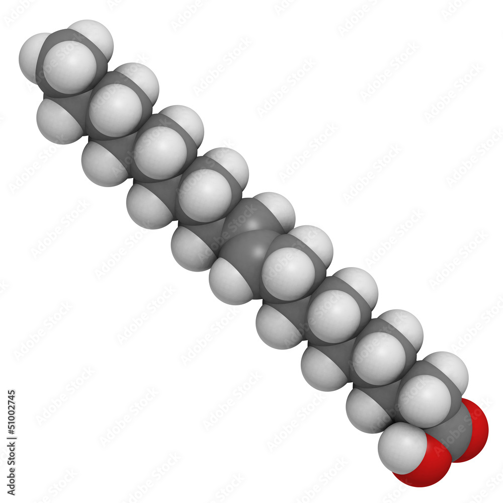 Poster elaidic acid trans fatty acid, molecular model