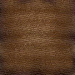 Fototapeta premium Brown animal skin