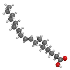 Elaidic acid trans fatty acid, molecular model