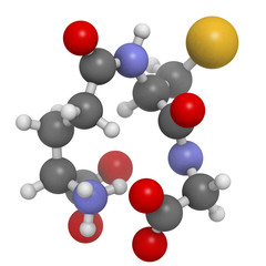 Glutathione antioxidant, molecular model