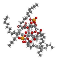 Lipid A bacterial endotoxin, molecular model