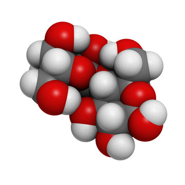 Maltose (maltobiose, malt sugar), molecular model