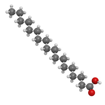 Stearic acid saturated fatty acid, molecular model