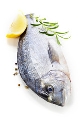 fresh dorada fish