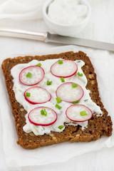 bread with sauce, radish and onion