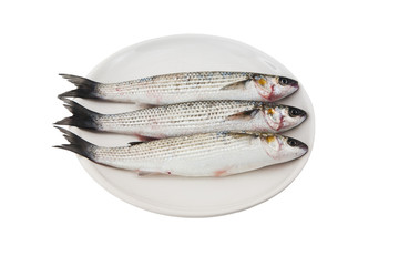 three gray mullet fish on plate