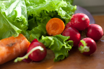 Organic salad with carrot, onion, radish and lettuce salad