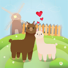 Alpacas couple