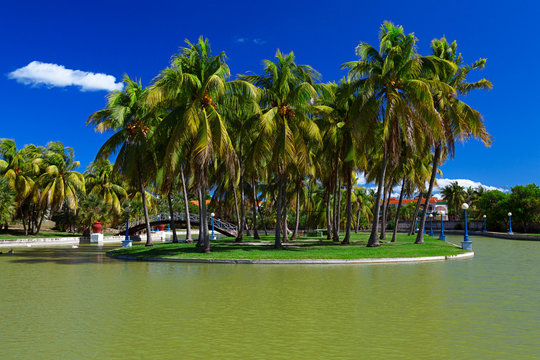 Island With Palm Trees