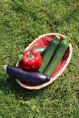 Panier de L&eacute;gumes Bio