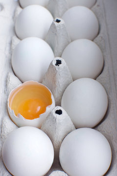 Eggs vertical