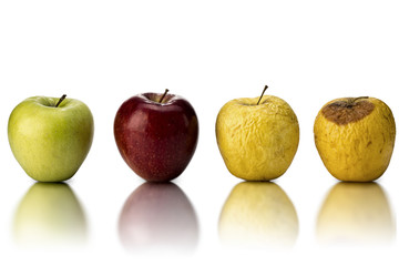Life cycle