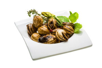 Escargot with asparagus, rosemary, thymus and tomato