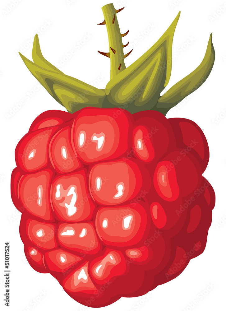 Wall mural Raspberry