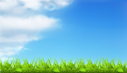 Fototapeta premium Spring background