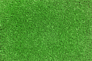Fototapeta na wymiar makro zielony dywan tekstury