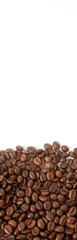 Coffee grunge on the light background