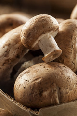 Organic Brown Baby Bella Mushrooms